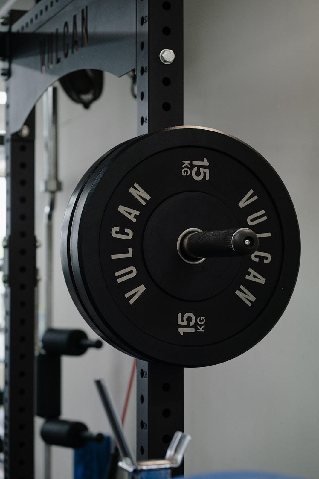 A 15 kg plate on the rack